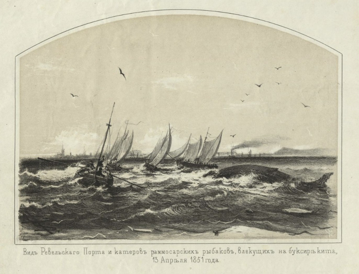 Vista do Porto de Reval e dos barcos dos pescadores de Rammu rebocando a baleia, 13 de abril de 1851